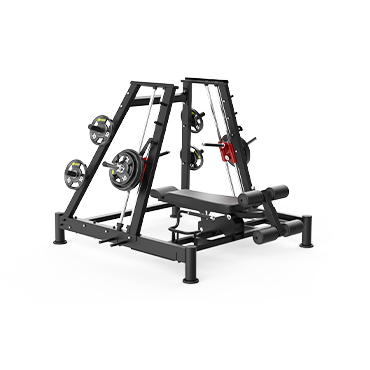 AS-19 ROWER SMITH MACHINE DUAL SYSTEM