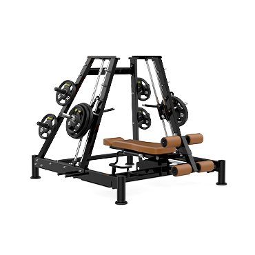 ZS-19 Power Smith Machine Dual System
